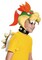 Child's Super Mario Brothers Bowser Officially Licensed Costume Accessory Kit Standard size